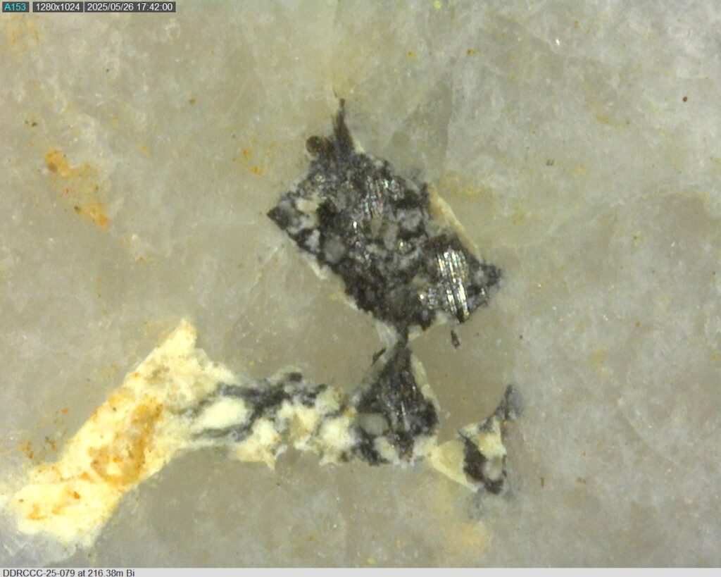 DDRCCC-25-079 216.38m @225x