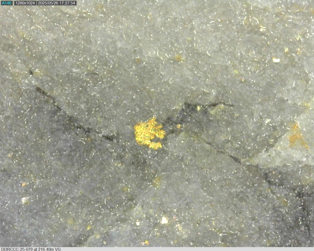 DDRCCC-25-079 216.40m @225x