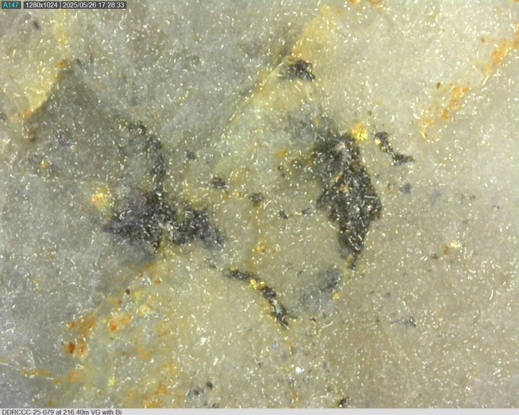 DDRCCC-25-079 216.40m @225x