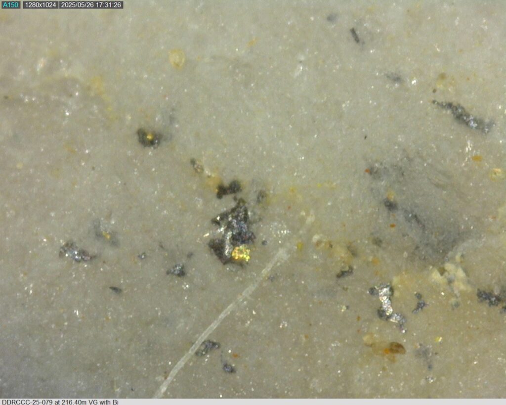 DDRCCC-25-079 216.40m @225x