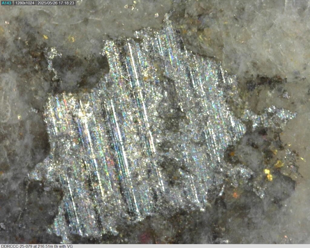 DDRCCC-25-079 216.51m @225x