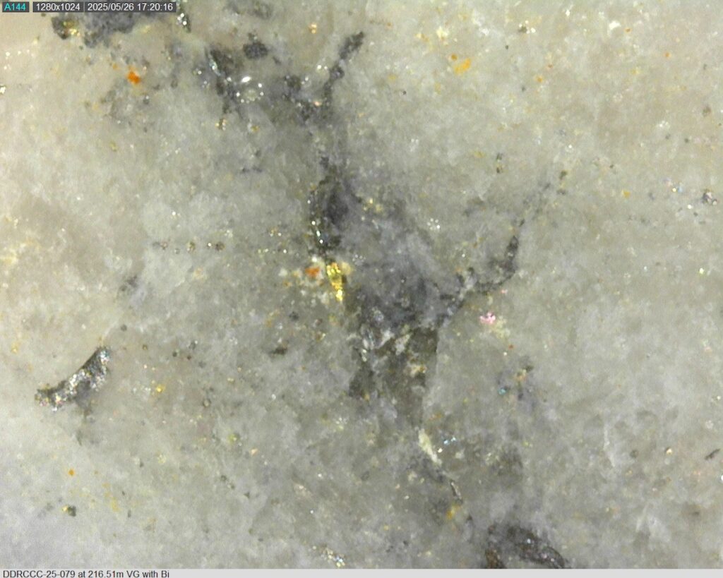 DDRCCC-25-079 216.51m @225x