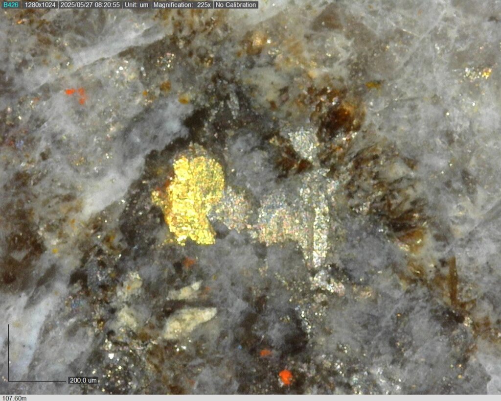 DDRCCC-25-080 107.60m @225x