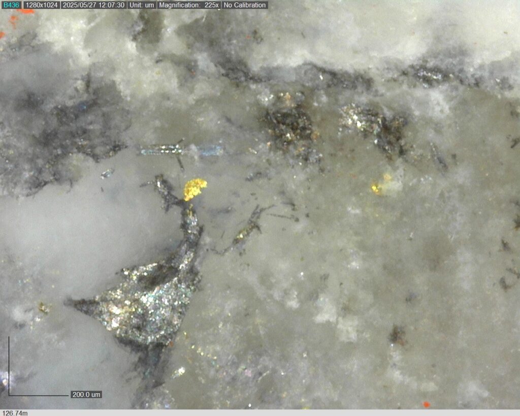 DDRCCC-25-080 126.71m @225x