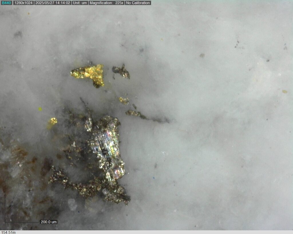 DDRCCC-25-080 154.51m @225x