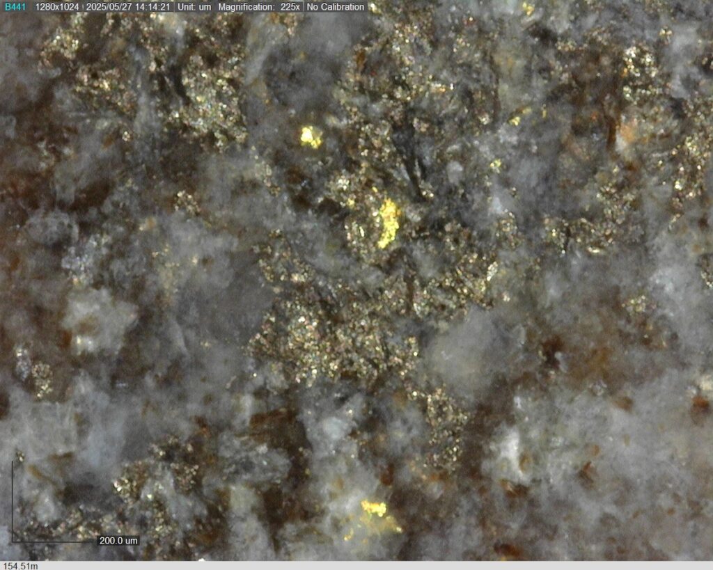 DDRCCC-25-080 154.51m @225x