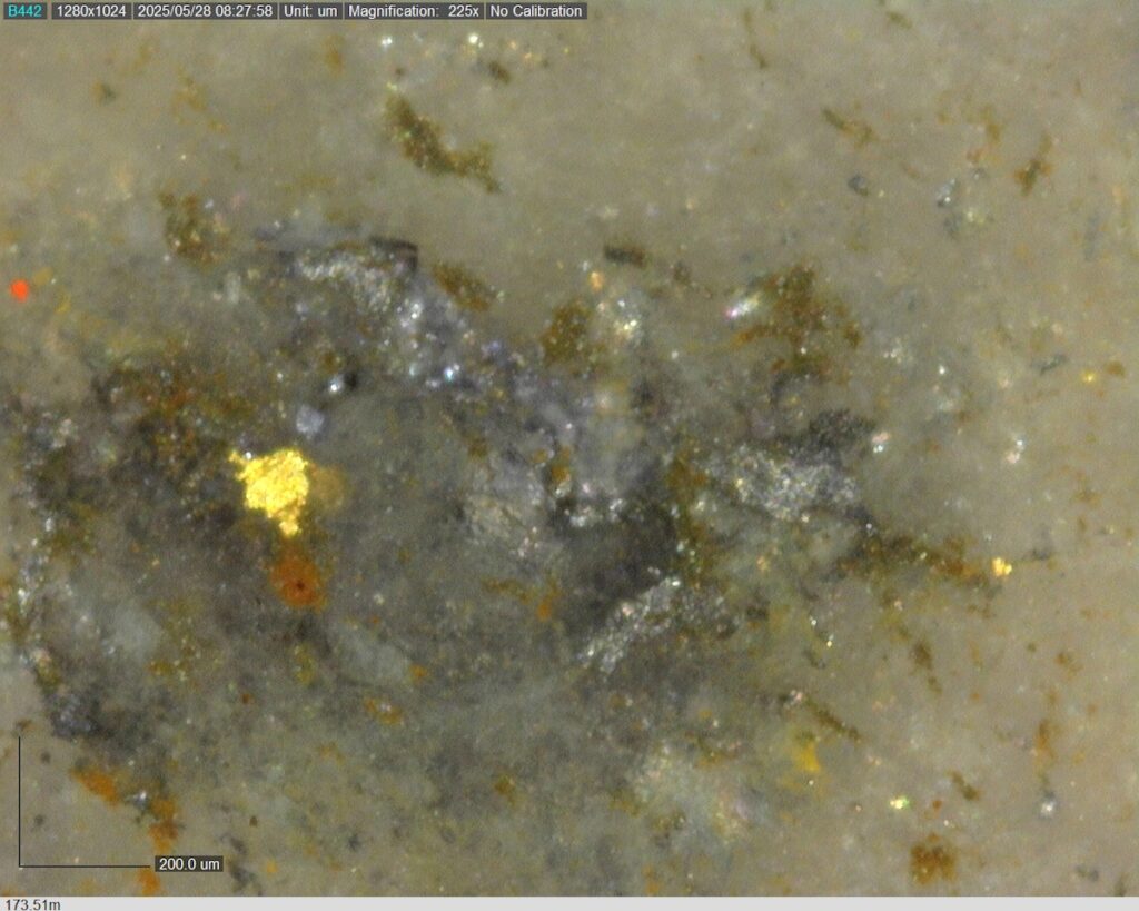 DDRCCC-25-080 173.51m @225x