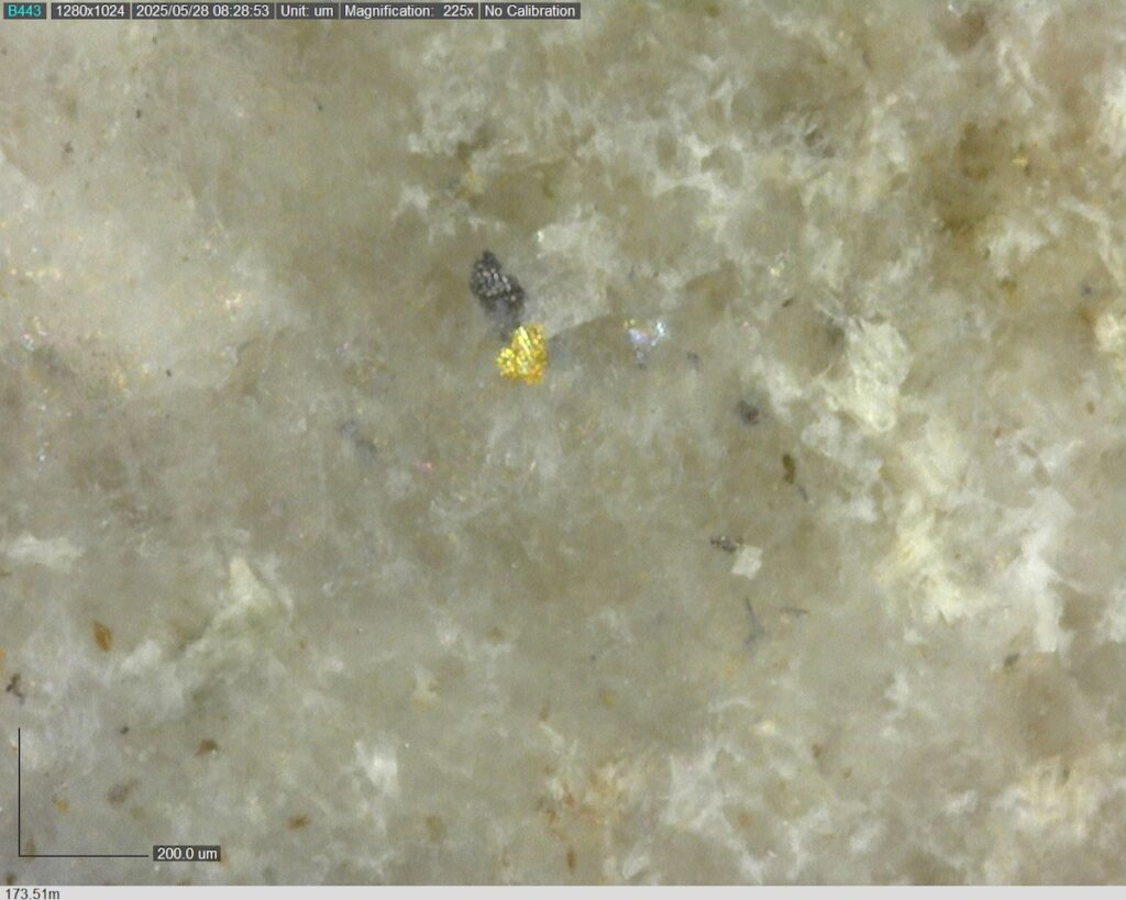 DDRCCC-25-080 173.51m @225x