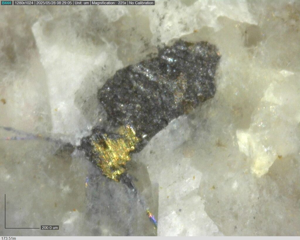 DDRCCC-25-080 173.51m @225x