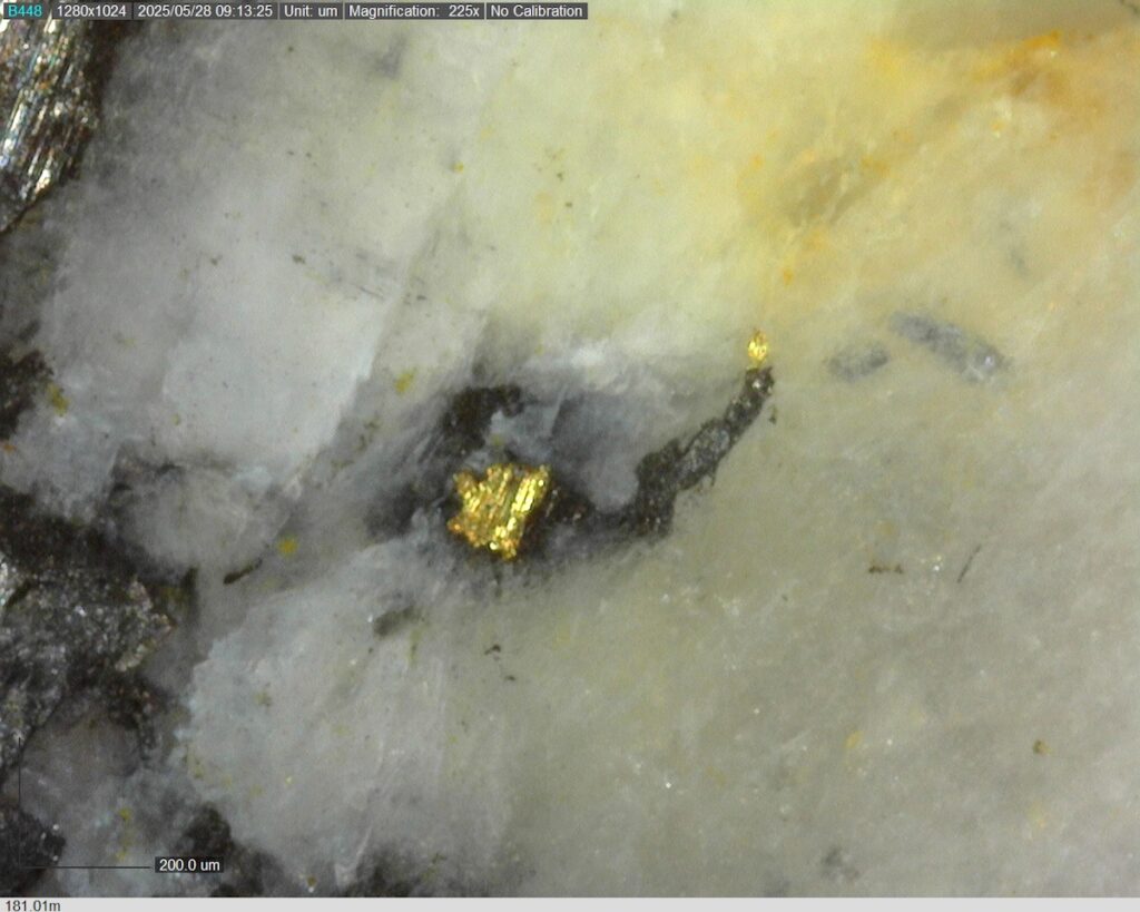 DDRCCC-25-080 181.01m @225x