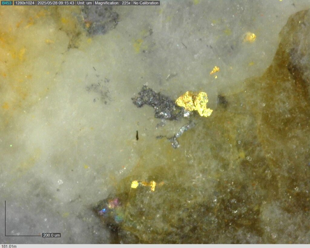 DDRCCC-25-080 181.01m @225x