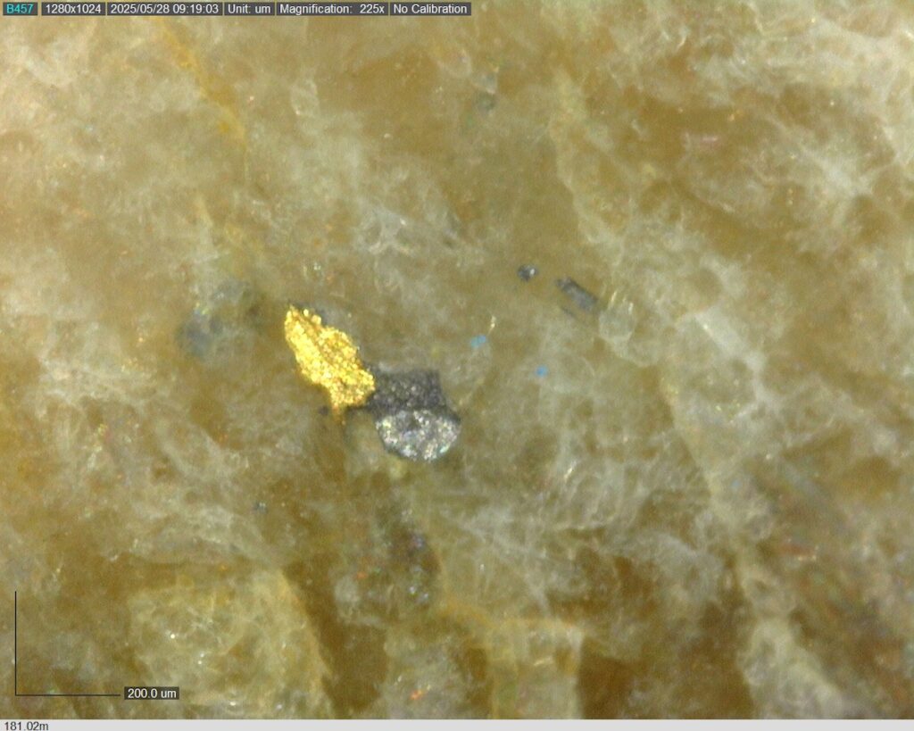 DDRCCC-25-080 181.02m @225x