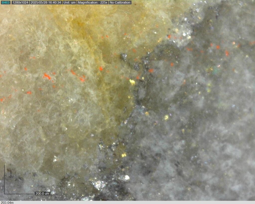 DDRCCC-25-080 203.04m @225x