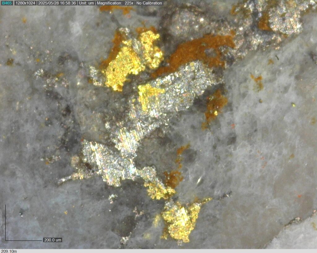 DDRCCC-25-080 209.10m @225x