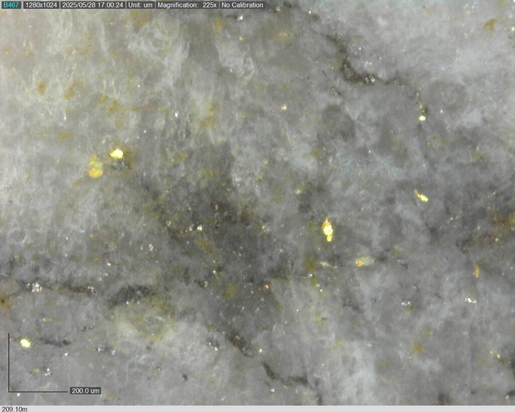 DDRCCC-25-080 209.10m @225x