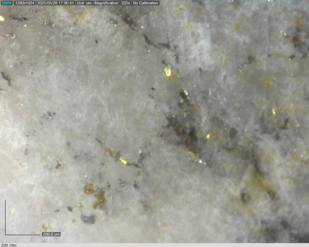 DDRCCC-25-080 209.10m @225x