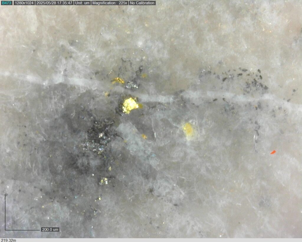 DDRCCC-25-080 219.32m @225x