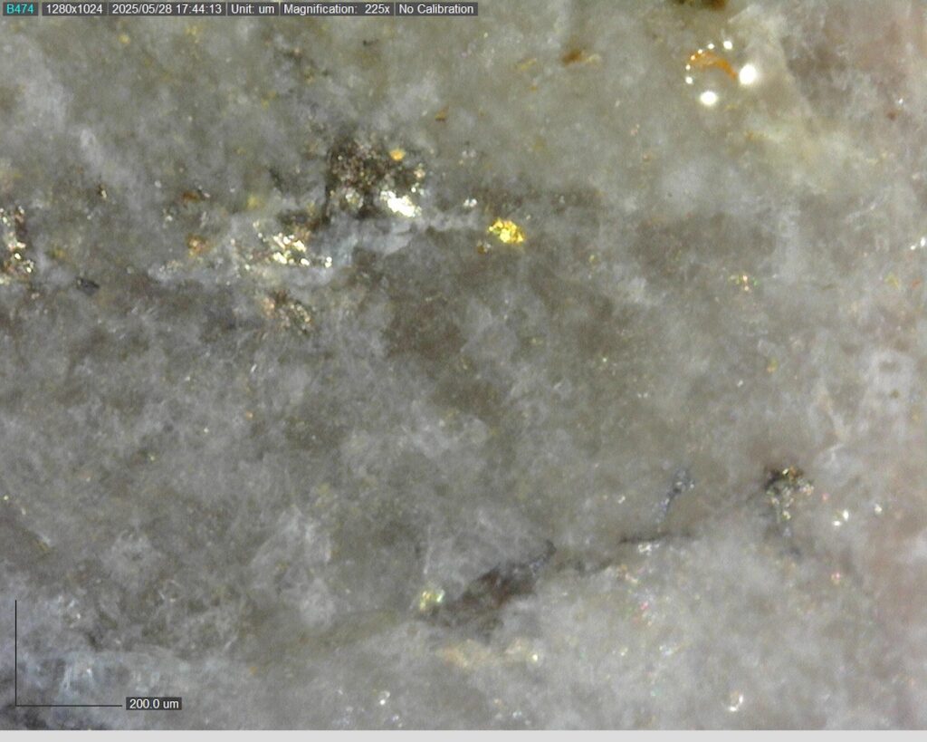 DDRCCC-25-080 220.35m @225x