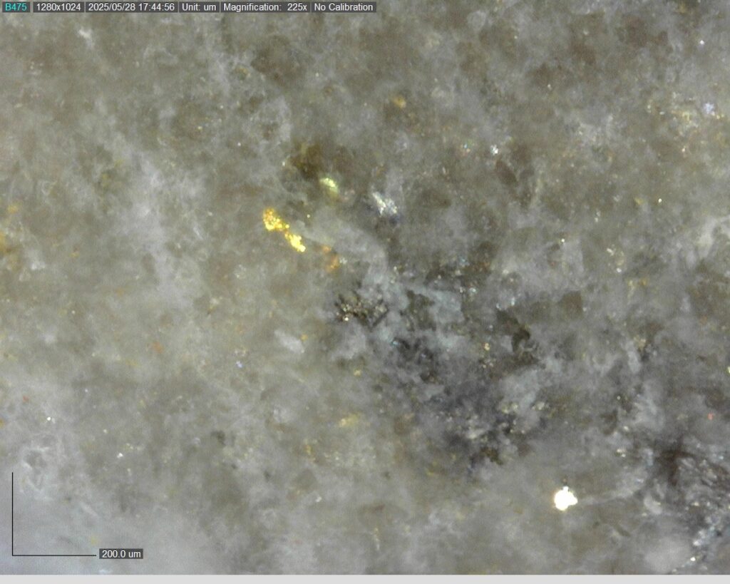 DDRCCC-25-080 220.35m @225x