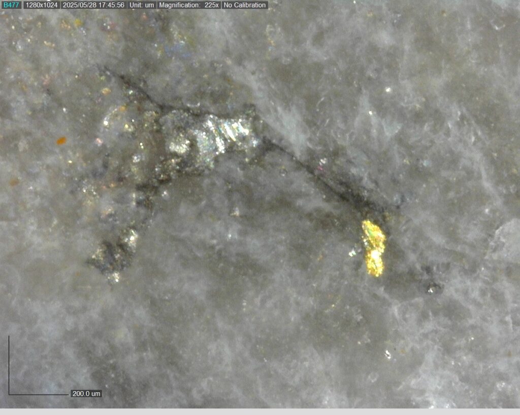 DDRCCC-25-080 220.35m @225x