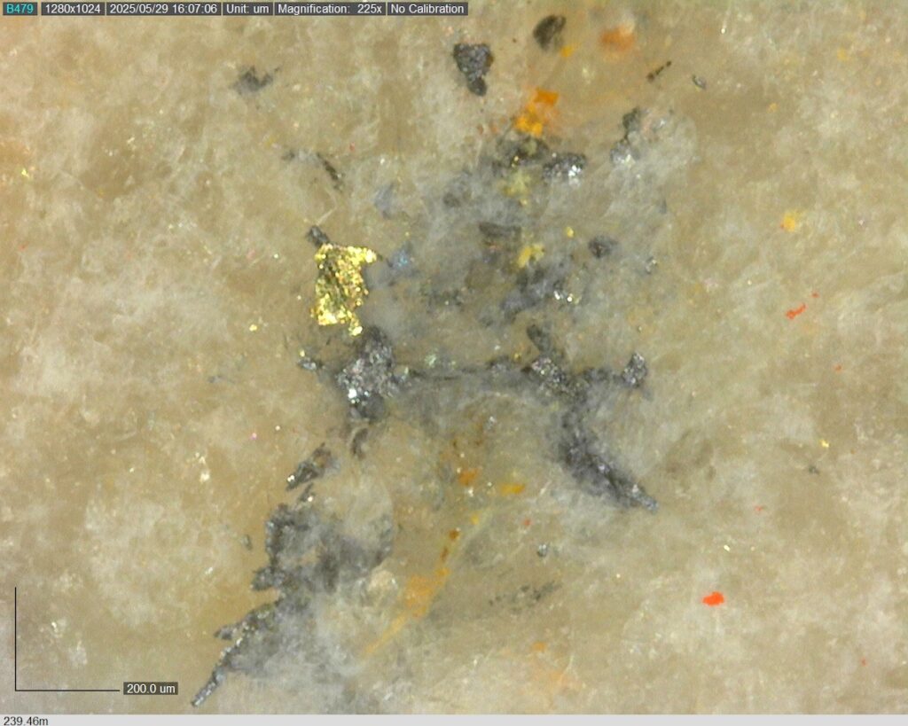 DDRCCC-25-080 239.46m @225x