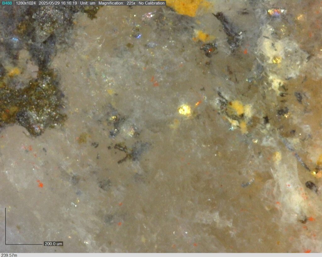 DDRCCC-25-080 239.57m @225x