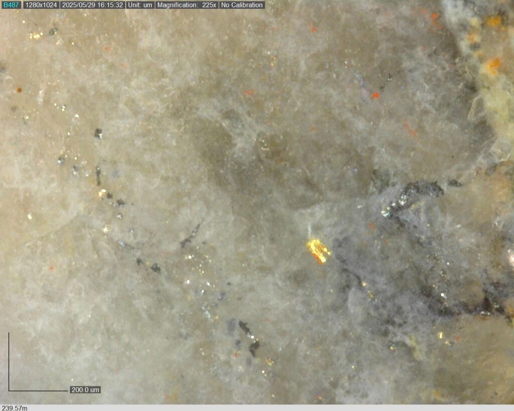 DDRCCC-25-080 239.57m @225x