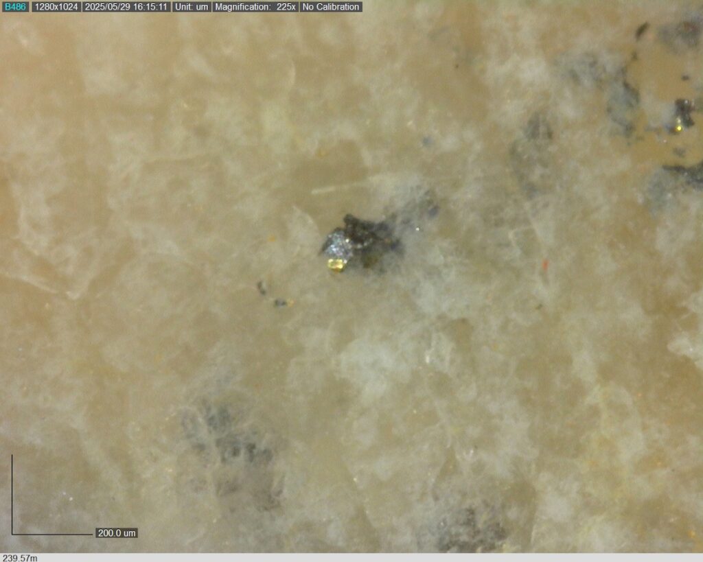 DDRCCC-25-080 239.57m @225x