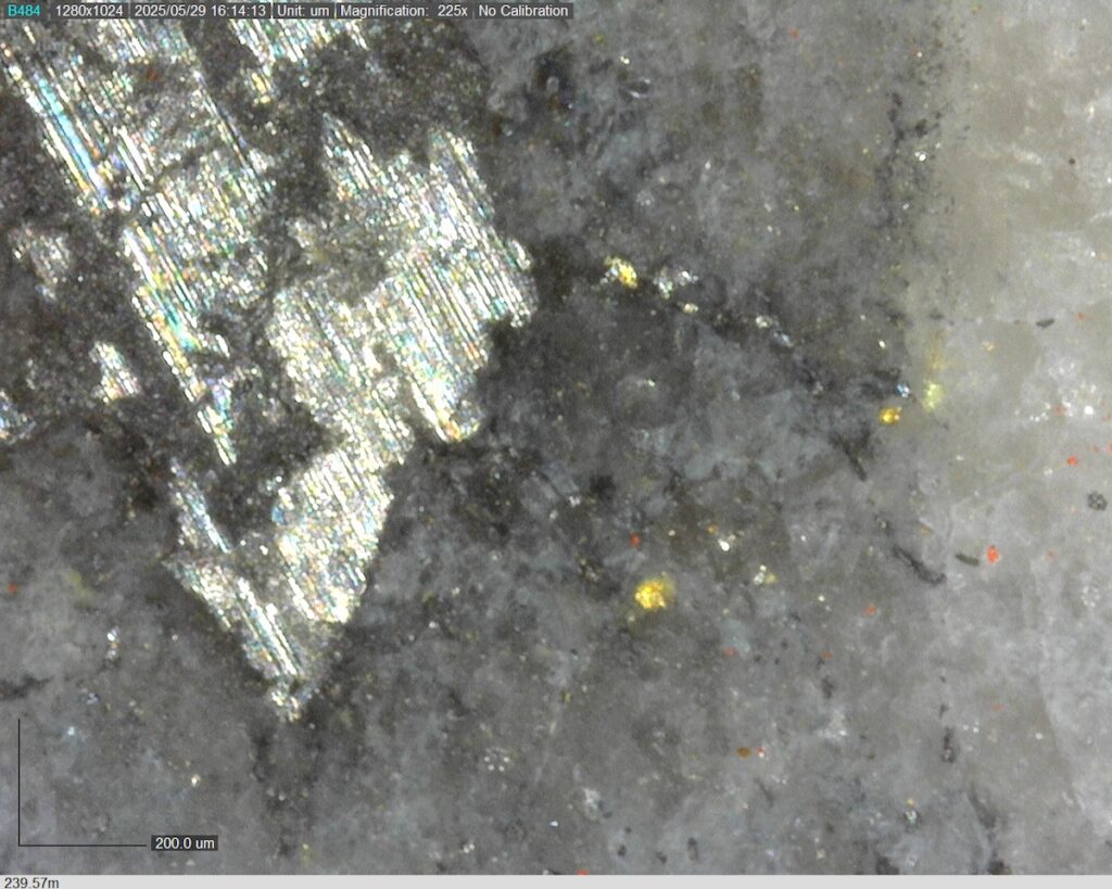 DDRCCC-25-080 239.57m @225x