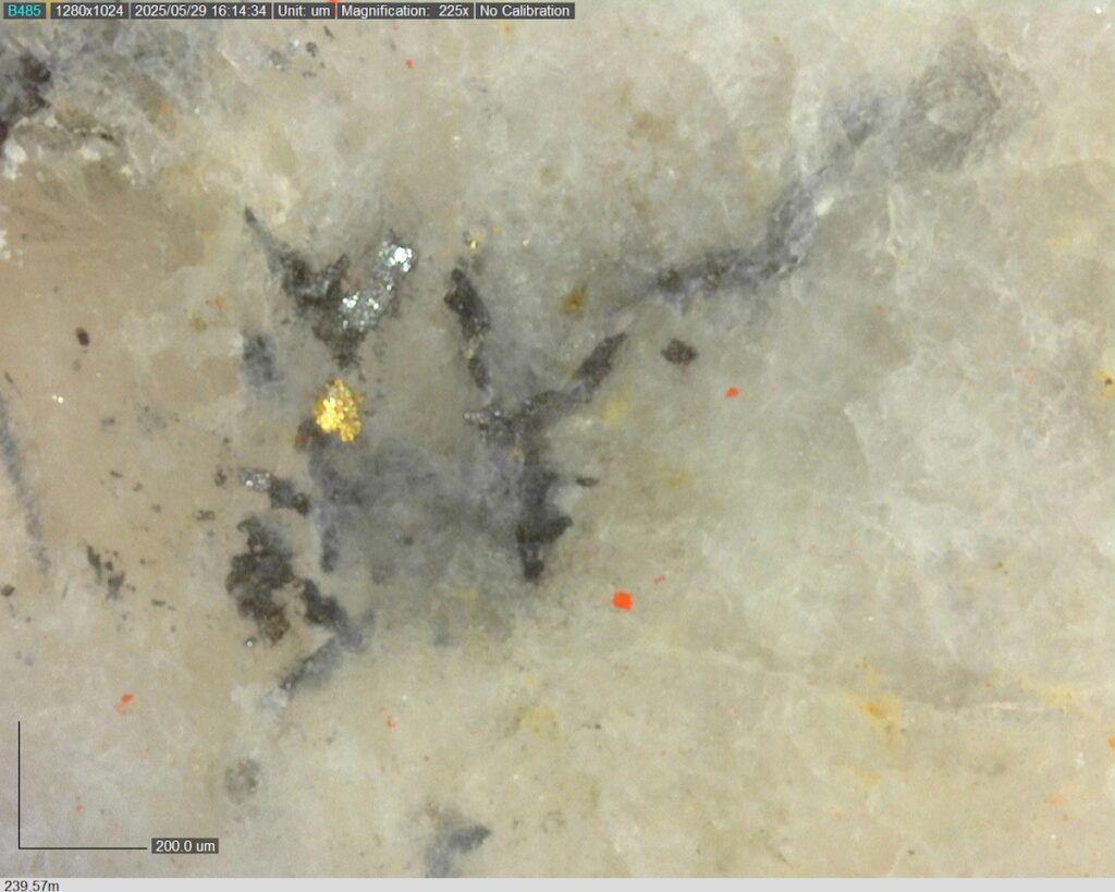 DDRCCC-25-080 239.57m @225x