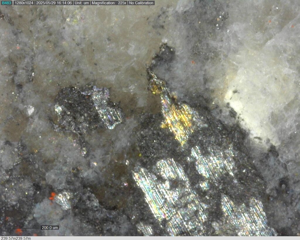 DDRCCC-25-080 239.57m @225x