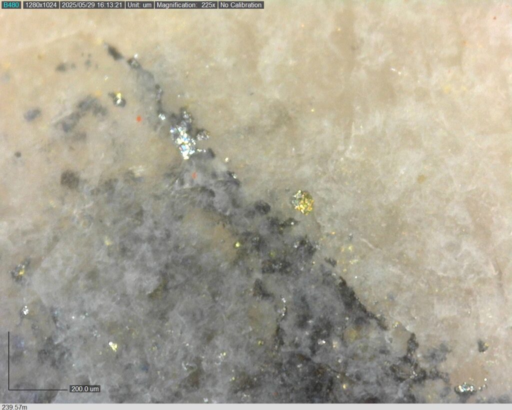 DDRCCC-25-080 239.57m @225x