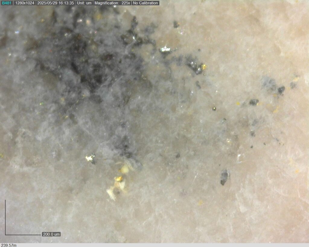 DDRCCC-25-080 239.57m @225x