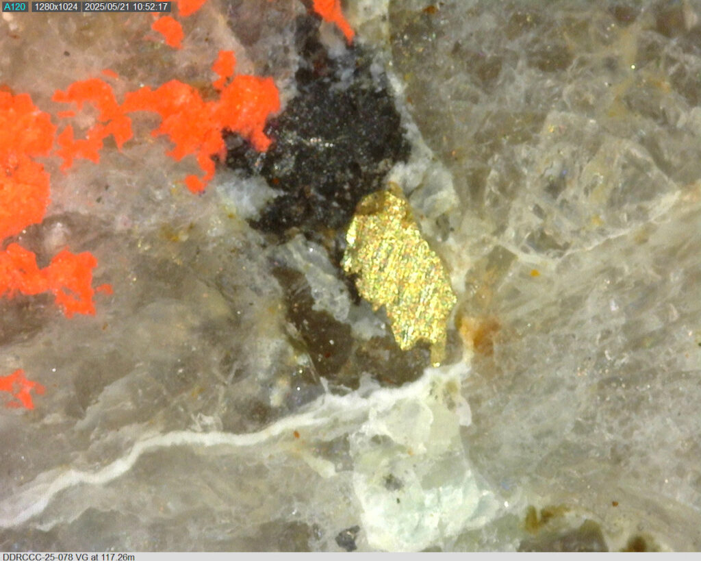 Ddrccc 25 078 117.26m 225x