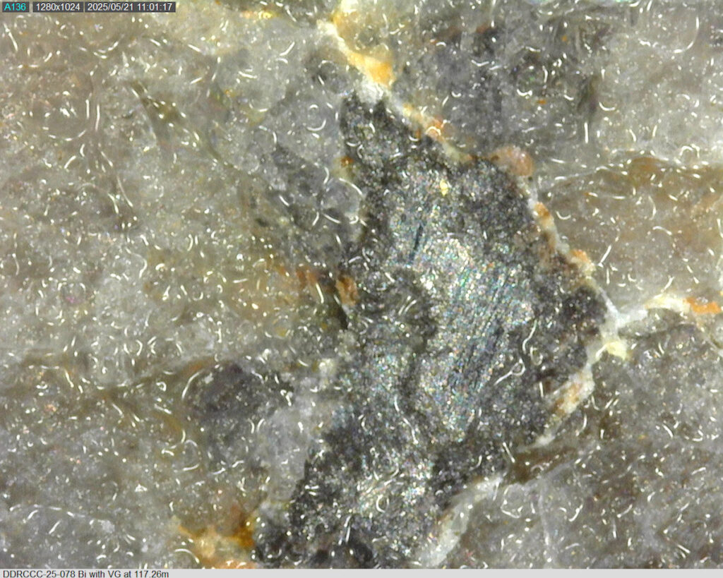 Ddrccc 25 078 117.26m Bi 225x