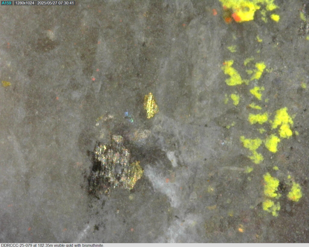 Ddrccc 25 079 182.35m 225x