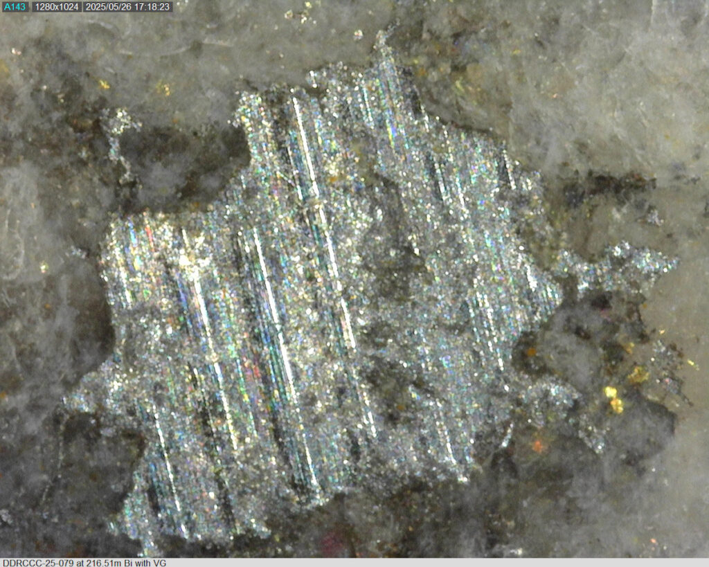 Ddrccc 25 079 216.51m Bi Vg