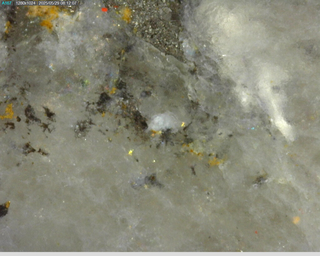 Ddrccc 25 079 269.88m 225x