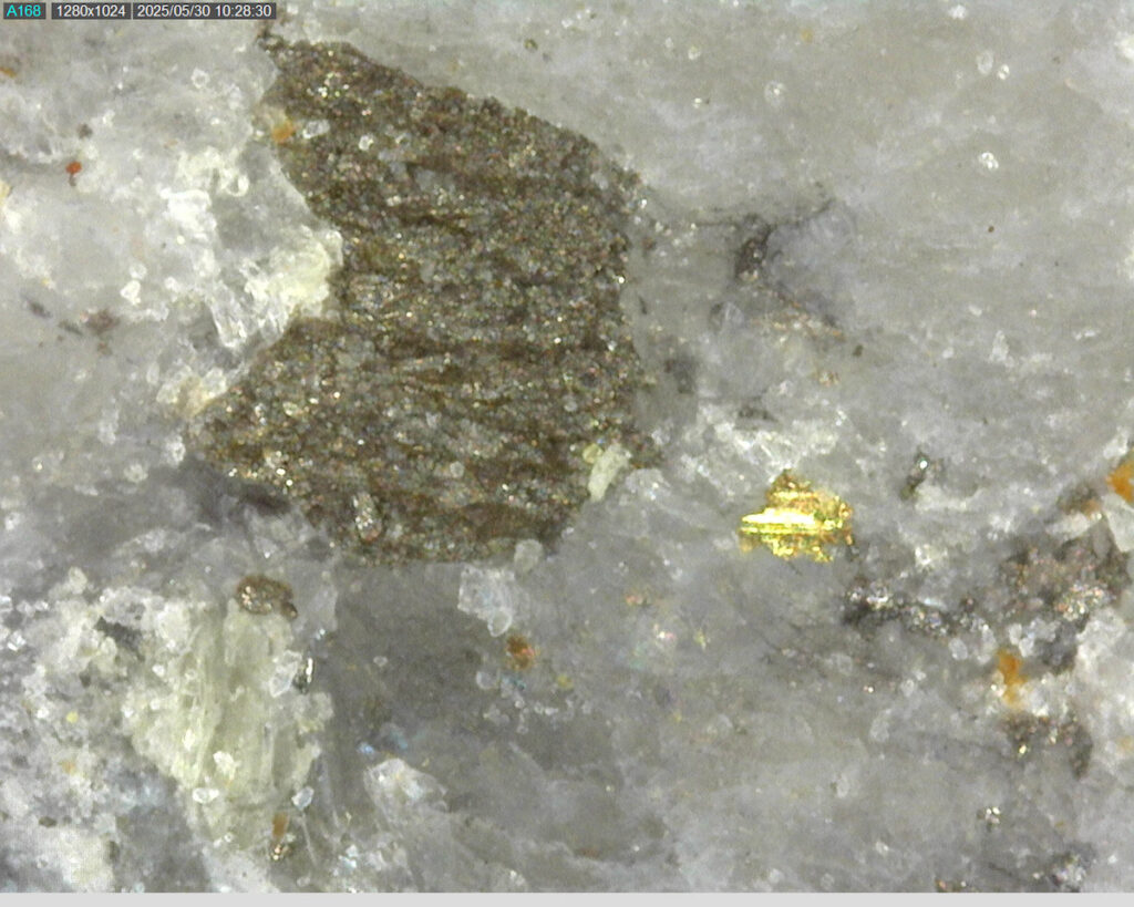 Ddrccc 25 079 341.62m 225x