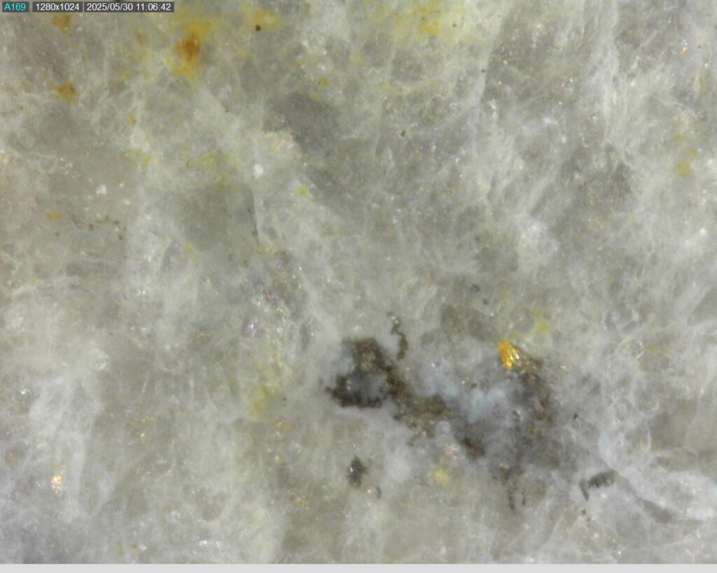 Ddrccc 25 079 341.88m 225x