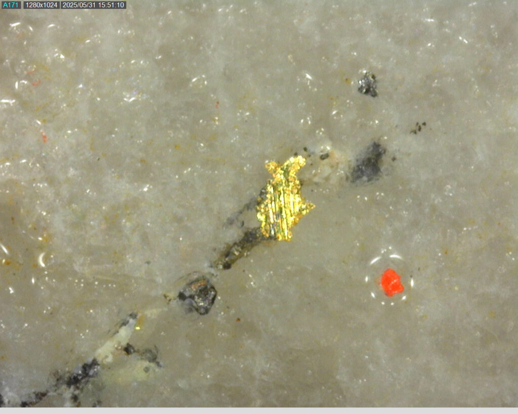 Ddrccc 25 079 420.95m 225x