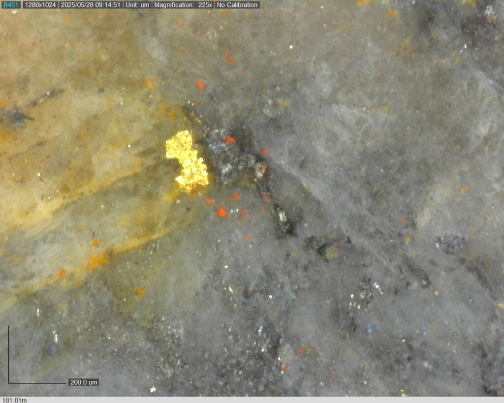 Ddrccc 25 080 181.01m 225x 4