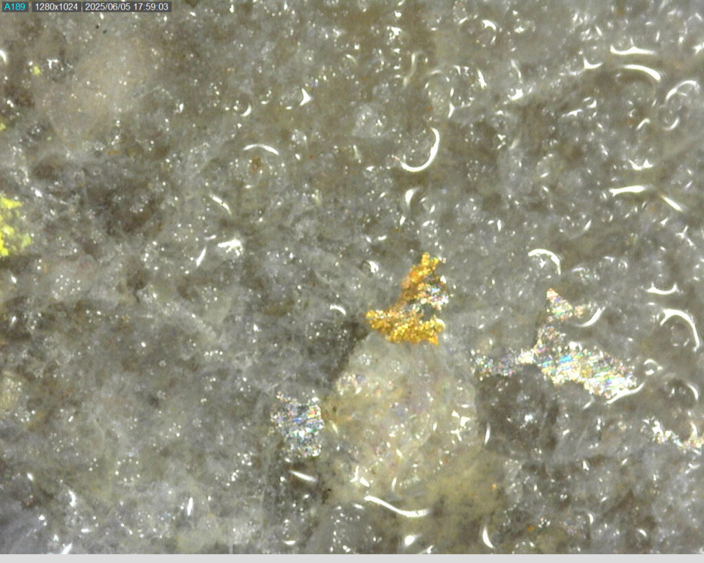 Ddrccc 25 085 57.59m 225x