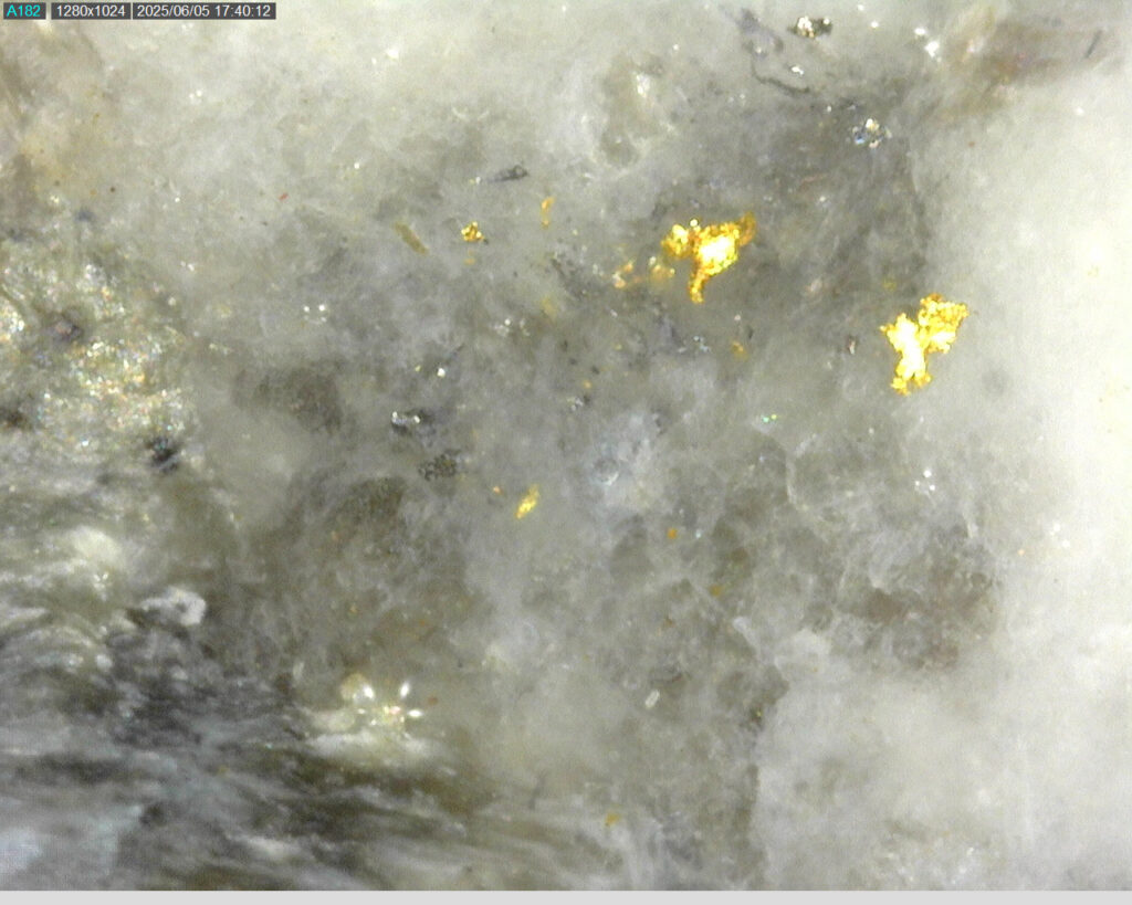 Ddrccc 25 085 60.73m 225x