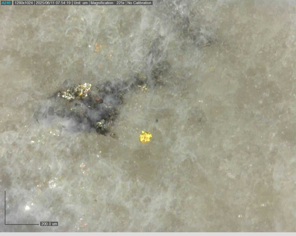 Ddrccc 25 088 Vg At 181.37m 225x