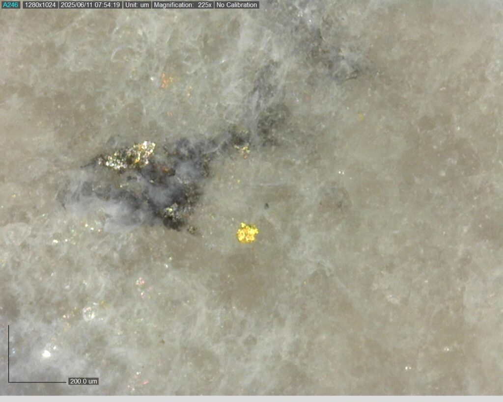 Ddrccc 25 088 Vg At 181.37m 225x