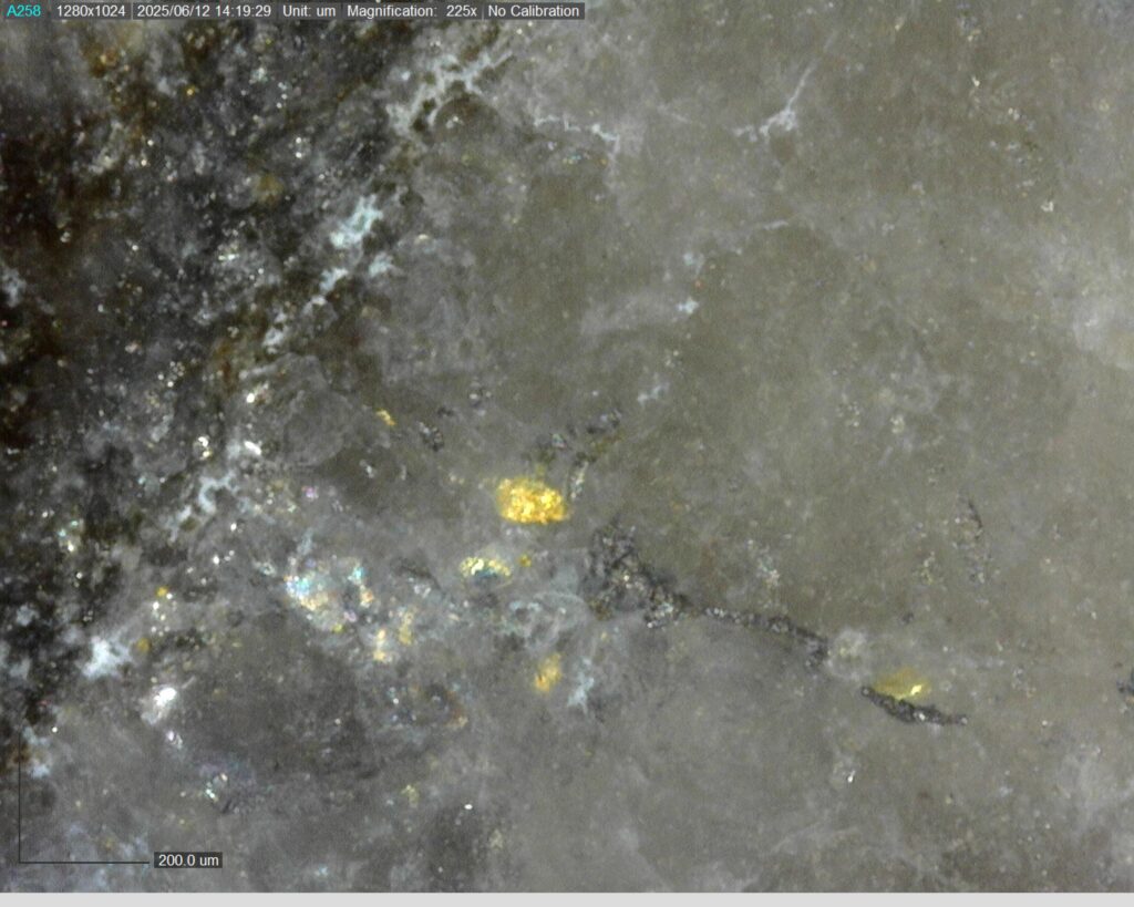 Ddrccc 25 088 Vg At 344.73m 225x