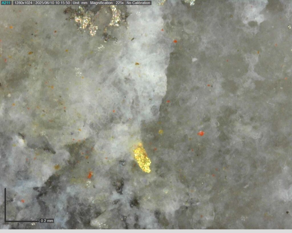 Ddrccc 25 088 Vg At 97.01m 225x Copy