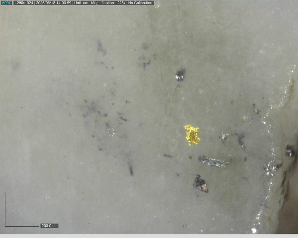 Ddrccc 25 094 Vg At 330 2m 225x