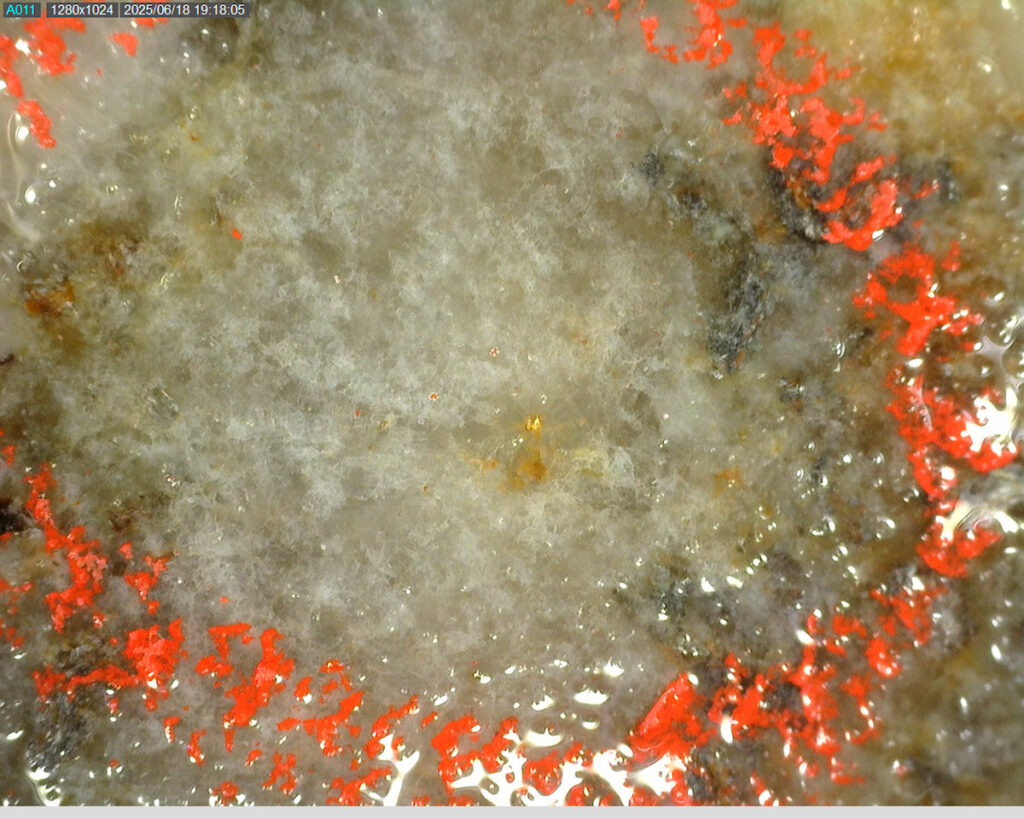 Ddrccc 25 096 10.55m